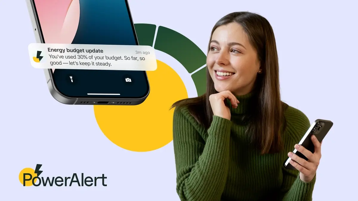 Illustration for provider-connected monitoring and monthly budget alerts.